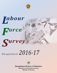 Labour Force Survey Report