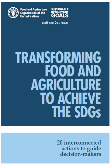 Transforming food and agriculture to achieve the SDGs