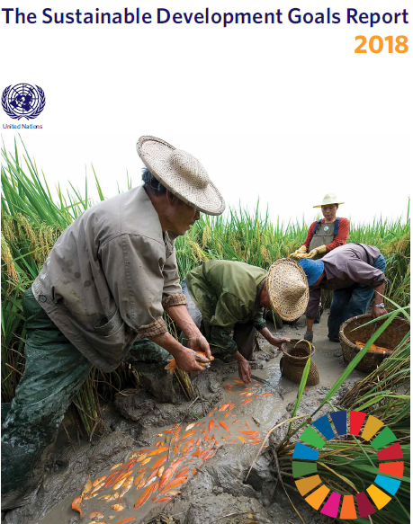 Sustainable Development Goals Report 2018